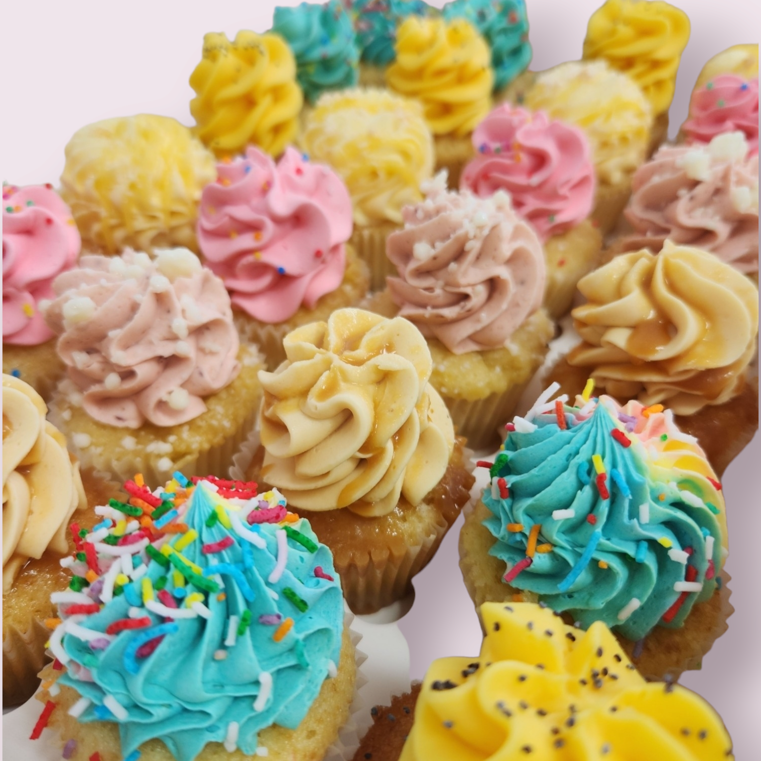 Mini Cupcakes 48pk - Teeze Cakes